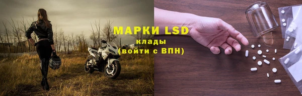 ГАЛЛЮЦИНОГЕННЫЕ ГРИБЫ Белокуриха
