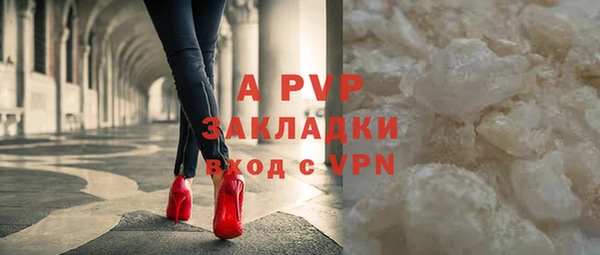 ГАЛЛЮЦИНОГЕННЫЕ ГРИБЫ Белокуриха