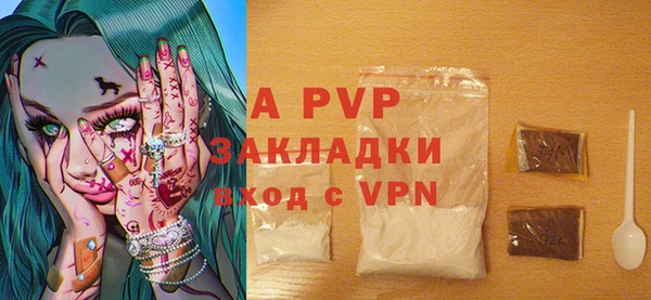 ГАЛЛЮЦИНОГЕННЫЕ ГРИБЫ Белокуриха