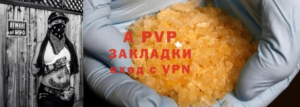 ГАЛЛЮЦИНОГЕННЫЕ ГРИБЫ Белокуриха